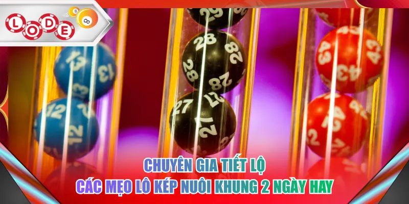 Chuyên gia tiết lộ các mẹo lô kép nuôi khung 2 ngày hay